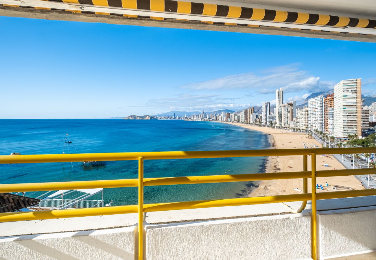 Apartment in Benidorm - Don Miguel Apartment 8-C Levante Beach