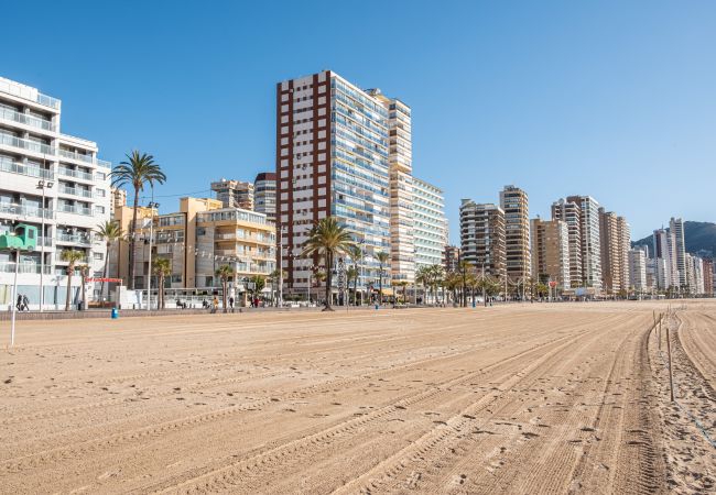 Apartment in Benidorm - Penthouse Ancla 562 Levante Beach Apartment in Benidorm - Penthouse Ancla 562 Levante Beach