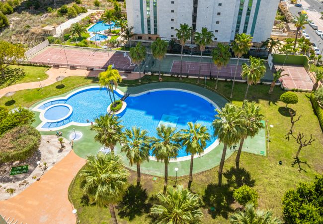 Apartment in Villajoyosa - Cala Palmera 10-C Apartment Playa La Cala Beach Apartment in Villajoyosa - Cala Palmera 10-C Apartment Playa La Cala Beach