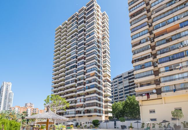Apartment in Benidorm - Acuarium II 14-C Apartment Levante Beach Apartment in Benidorm - Acuarium II 14-C Apartment Levante Beach