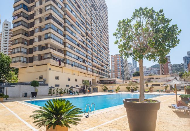 Apartment in Benidorm - Acuarium II 14-C Apartment Levante Beach Apartment in Benidorm - Acuarium II 14-C Apartment Levante Beach