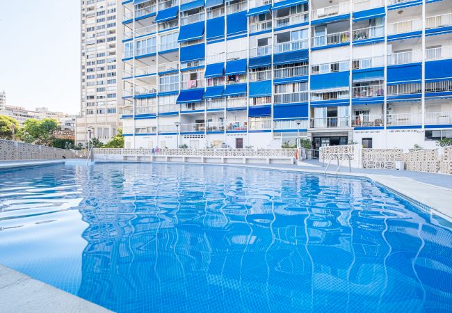 Apartment in Benidorm - Halcon Deluxe 7-B Apartment Levante Beach Apartment in Benidorm - Halcon Deluxe 7-B Apartment Levante Beach