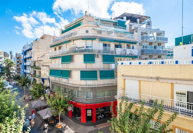 Apartment in Benidorm - Alameda 16 Apartment Beach-Old Town Apartment in Benidorm - Alameda 16 Apartment Beach-Old Town