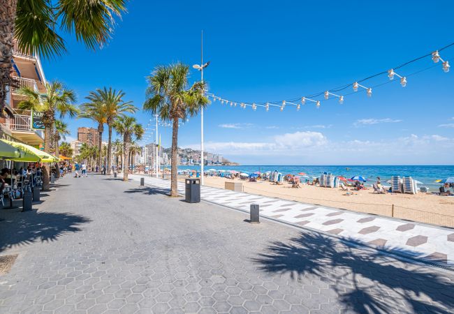Apartment in Benidorm - Alameda 16 Apartment Beach-Old Town Apartment in Benidorm - Alameda 16 Apartment Beach-Old Town