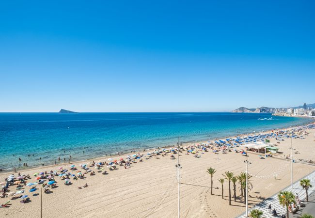 Apartment in Benidorm - Los Gemelos 6-C Apartment Levante Beach Apartment in Benidorm - Los Gemelos 6-C Apartment Levante Beach