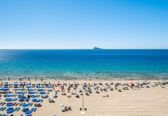 Apartment in Benidorm - Los Gemelos 6-C Apartment Levante Beach Apartment in Benidorm - Los Gemelos 6-C Apartment Levante Beach