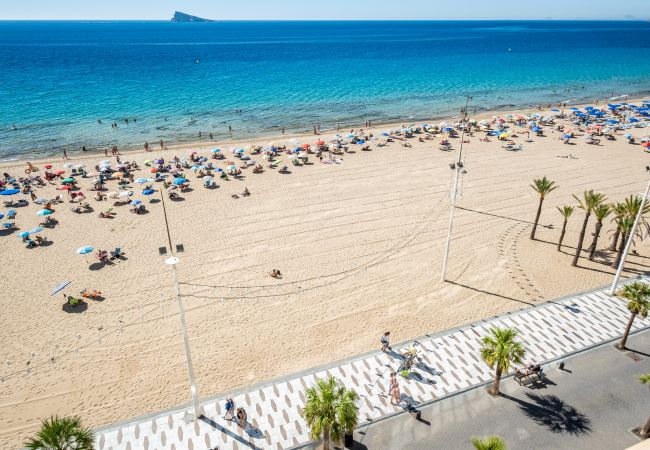 Apartment in Benidorm - Los Gemelos 6-C Apartment Levante Beach Apartment in Benidorm - Los Gemelos 6-C Apartment Levante Beach
