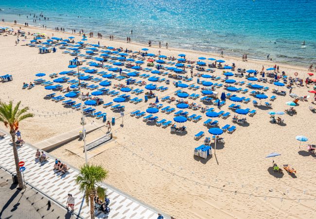 Apartment in Benidorm - Los Gemelos 6-C Apartment Levante Beach Apartment in Benidorm - Los Gemelos 6-C Apartment Levante Beach