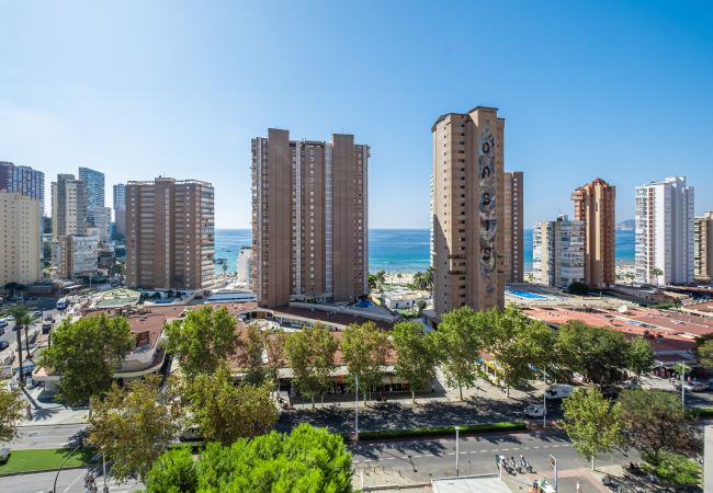 Studio in Benidorm - Albatros 13-8 Estudio Levante Beach Studio in Benidorm - Albatros 13-8 Estudio Levante Beach