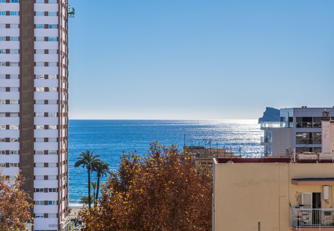 Apartment in Benidorm - Las Antillas 7-B Apartment Levante Beach Apartment in Benidorm - Las Antillas 7-B Apartment Levante Beach