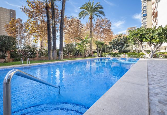 Apartment in Benidorm - Edimar 7-6 Apartment Levante Beach Apartment in Benidorm - Edimar 7-6 Apartment Levante Beach