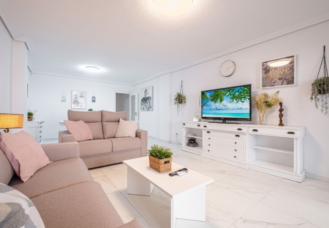 Apartment in Benidorm - Emalco 1-9 Apartment Levante Beach-Old Town Apartment in Benidorm - Emalco 1-9 Apartment Levante Beach-Old Town