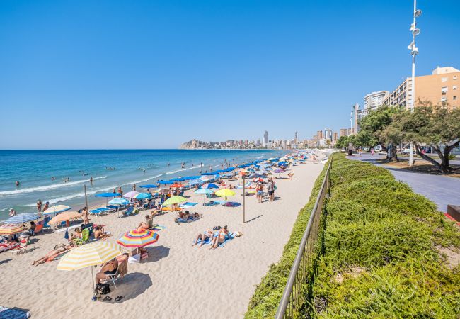 Apartment in Benidorm - Benipark 3-2-A Poniente Beach Apartment in Benidorm - Benipark 3-2-A Poniente Beach
