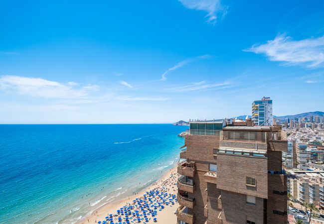 Apartment in Benidorm - Principado Arena Levante Beach Apartment in Benidorm - Principado Arena Levante Beach