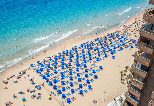 Apartment in Benidorm - Principado Arena Levante Beach Apartment in Benidorm - Principado Arena Levante Beach