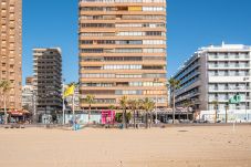 Apartment in Benidorm - Principado Arena Levante Beach
