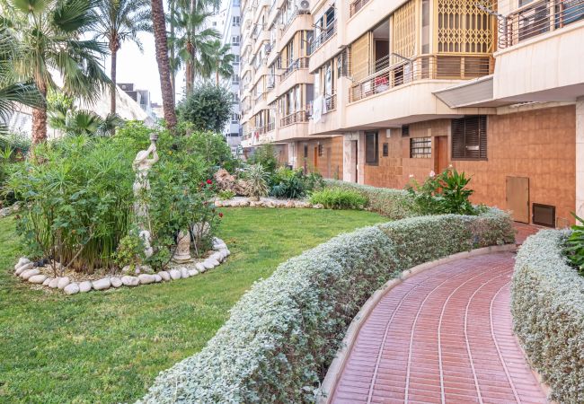 Apartment in Benidorm - Benipark Deluxe 33-A Poniente Beach Apartment in Benidorm - Benipark Deluxe 33-A Poniente Beach