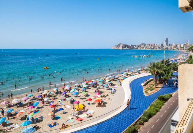 Apartment in Benidorm - Benipark Deluxe 33-A Poniente Beach Apartment in Benidorm - Benipark Deluxe 33-A Poniente Beach