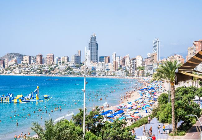 Apartment in Benidorm - Benipark Deluxe 33-A Poniente Beach Apartment in Benidorm - Benipark Deluxe 33-A Poniente Beach