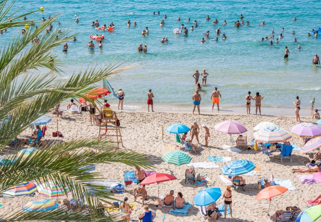 Apartment in Benidorm - Benipark Deluxe 33-A Poniente Beach Apartment in Benidorm - Benipark Deluxe 33-A Poniente Beach