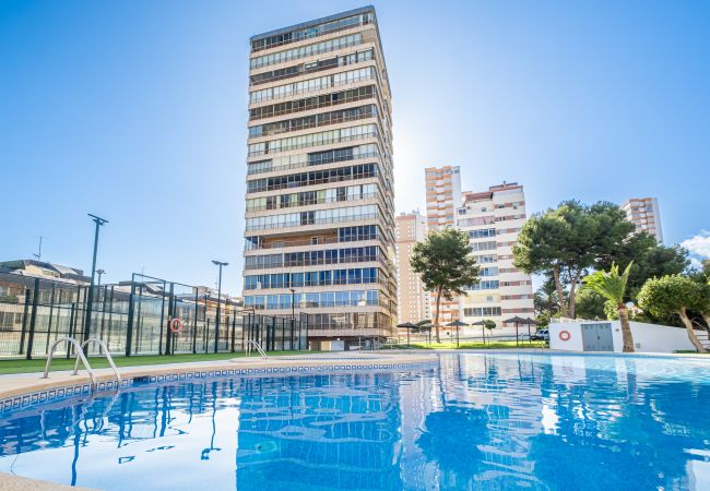 Apartment in Benidorm - Benipark Deluxe 33-A Poniente Beach Apartment in Benidorm - Benipark Deluxe 33-A Poniente Beach