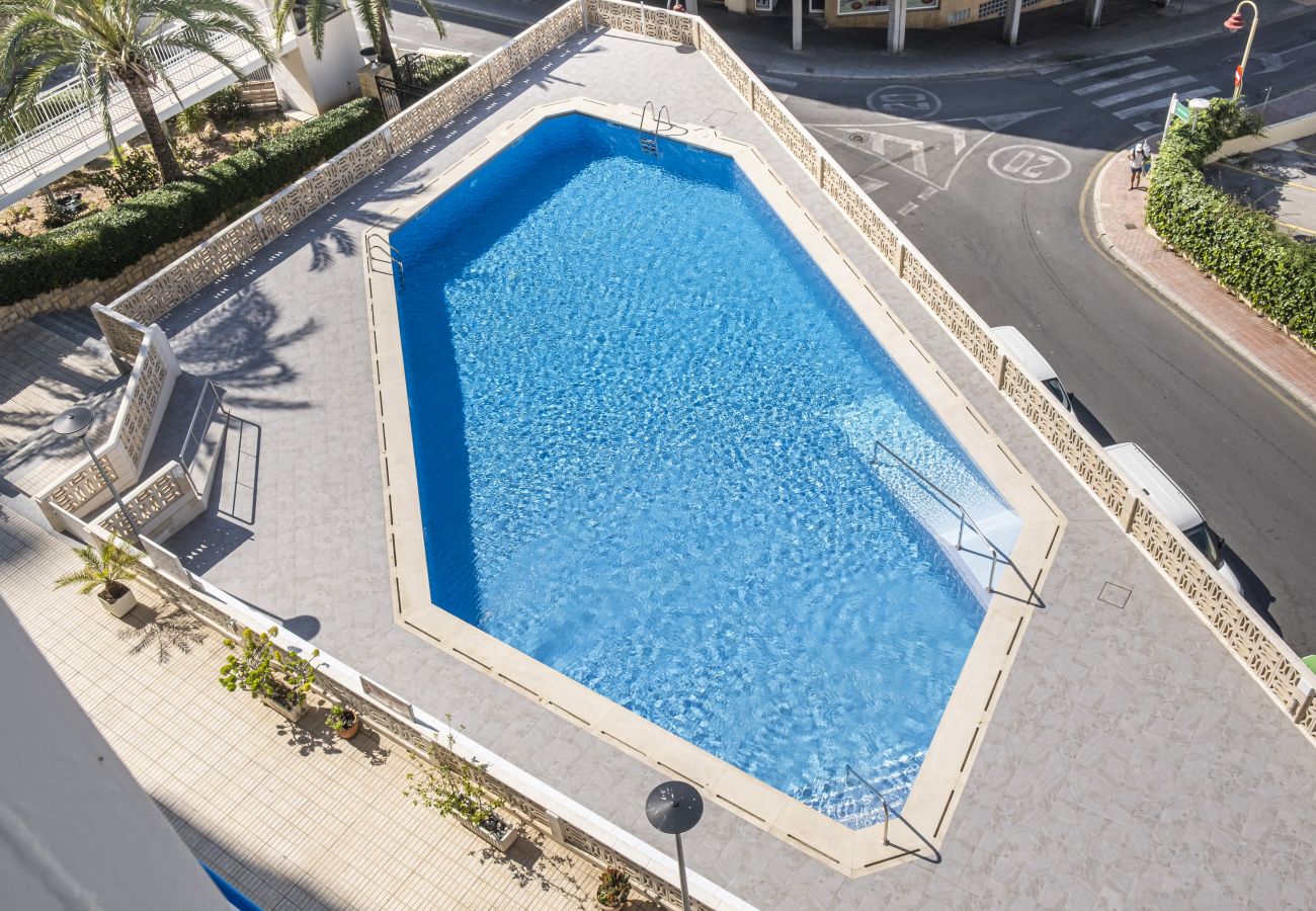 Apartment in Benidorm - Halcon Deluxe 17-C Apartment Levante Beach Apartment in Benidorm - Halcon Deluxe 17-C Apartment Levante Beach