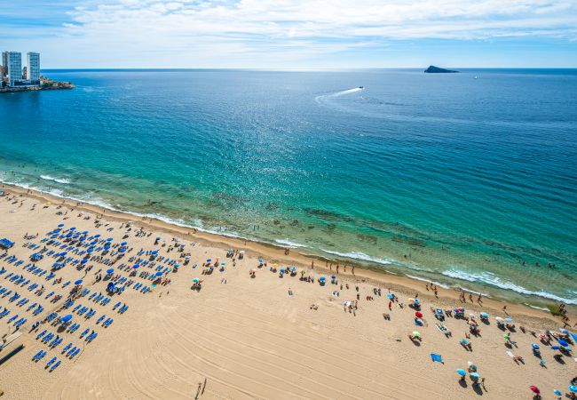 Apartment in Benidorm - Las Arenas 18-L Apartment Levante Beach Apartment in Benidorm - Las Arenas 18-L Apartment Levante Beach