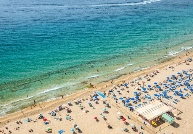 Apartment in Benidorm - Las Arenas 18-L Apartment Levante Beach Apartment in Benidorm - Las Arenas 18-L Apartment Levante Beach