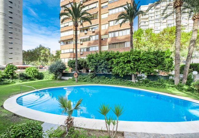 Apartment in Benidorm - Las Arenas 18-L Apartment Levante Beach Apartment in Benidorm - Las Arenas 18-L Apartment Levante Beach