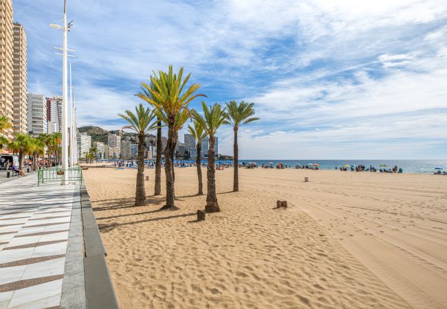 Apartment in Benidorm - Las Arenas 18-L Apartment Levante Beach Apartment in Benidorm - Las Arenas 18-L Apartment Levante Beach