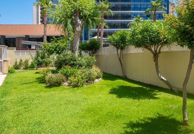 Appartement à Benidorm - Gemelos 23 - 10B Apartment Levante Beach Appartement à Benidorm - Gemelos 23 - 10B Apartment Levante Beach