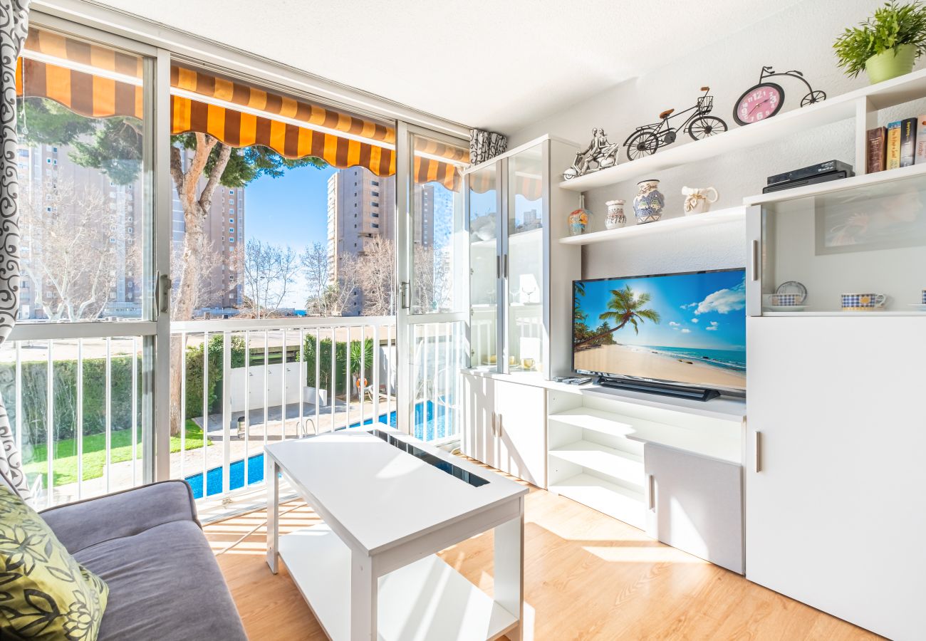 Studio à Benidorm - Albatros 2-6 Estudio Levante Beach Studio à Benidorm - Albatros 2-6 Estudio Levante Beach