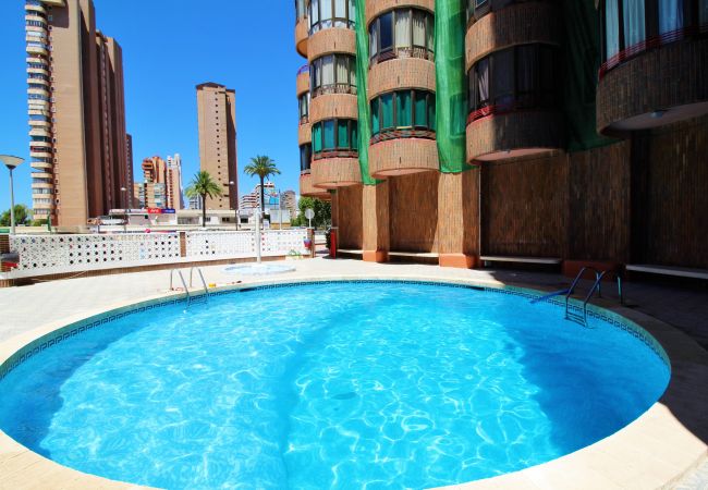 Appartement à Benidorm - Coblanca 5-15-4 Apartment Levante Beach Appartement à Benidorm - Coblanca 5-15-4 Apartment Levante Beach