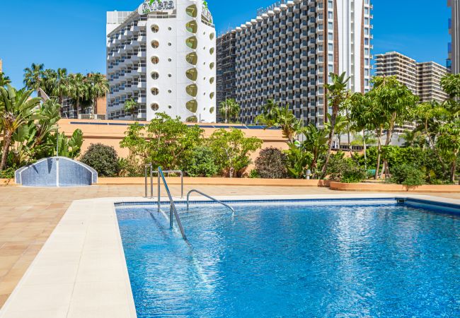 Appartement à Benidorm - Torre Mar 20-D Apartment Levante Beach Appartement à Benidorm - Torre Mar 20-D Apartment Levante Beach