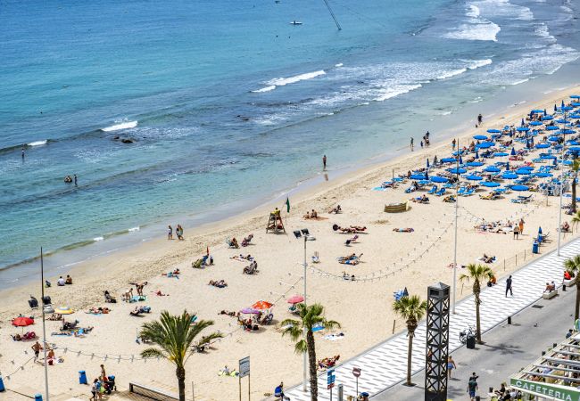 Appartement à Benidorm - Carabelas 10-6 Appartement à Benidorm - Carabelas 10-6