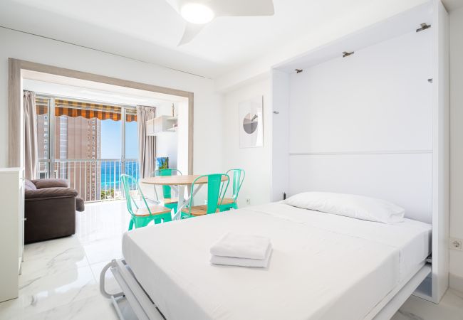 Studio à Benidorm - Albatros 12-8 Sea Views Levante Beach Studio à Benidorm - Albatros 12-8 Sea Views Levante Beach