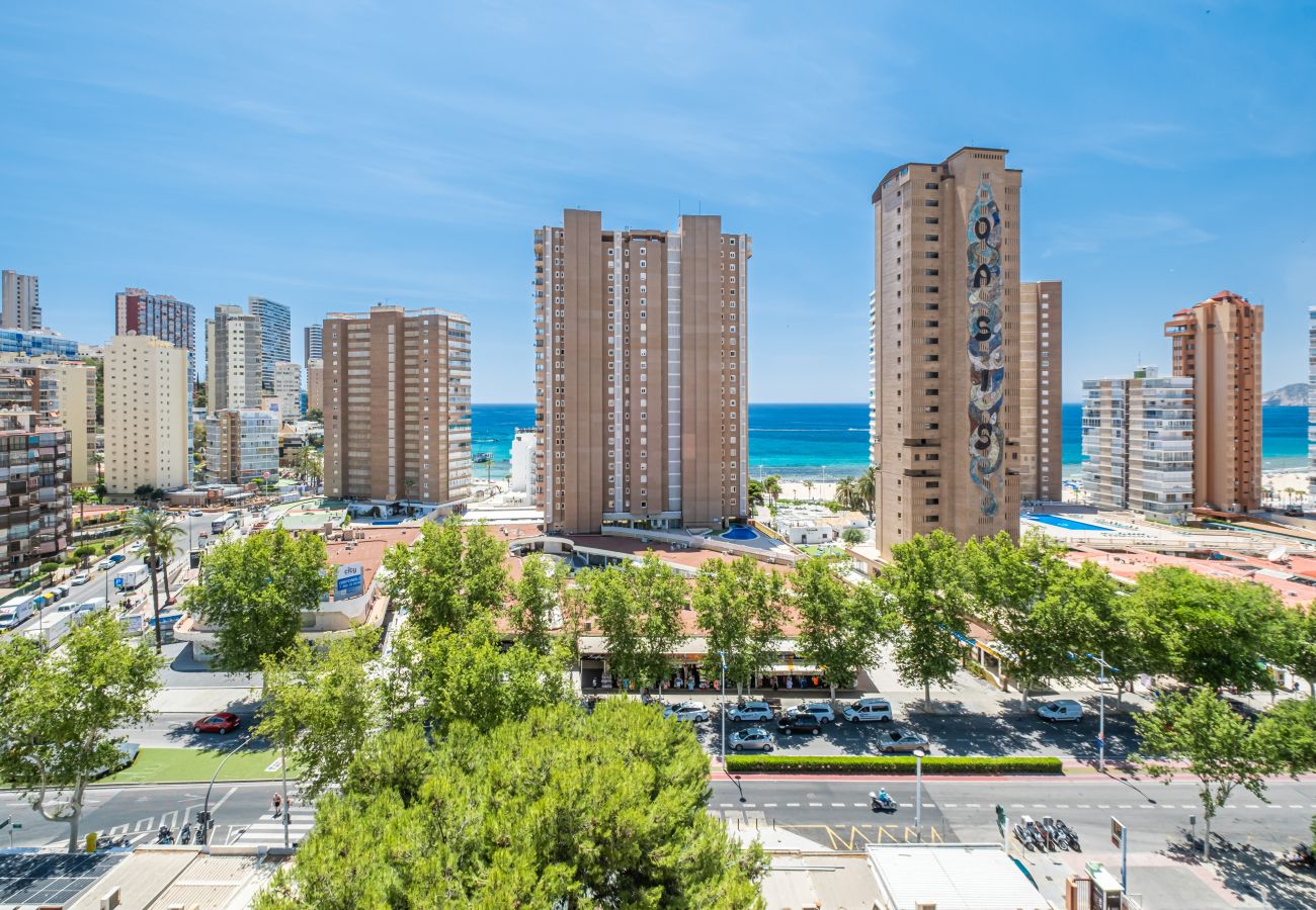 Studio à Benidorm - Albatros 12-8 Sea Views Levante Beach Studio à Benidorm - Albatros 12-8 Sea Views Levante Beach