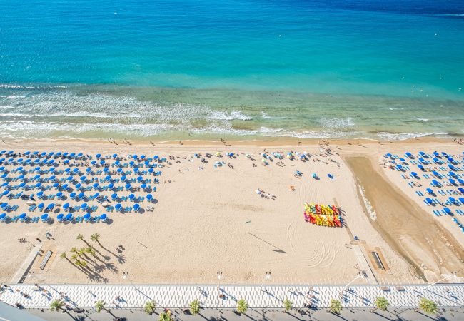 Appartement à Benidorm -  Las Damas 23-E Levante Beach Appartement à Benidorm -  Las Damas 23-E Levante Beach