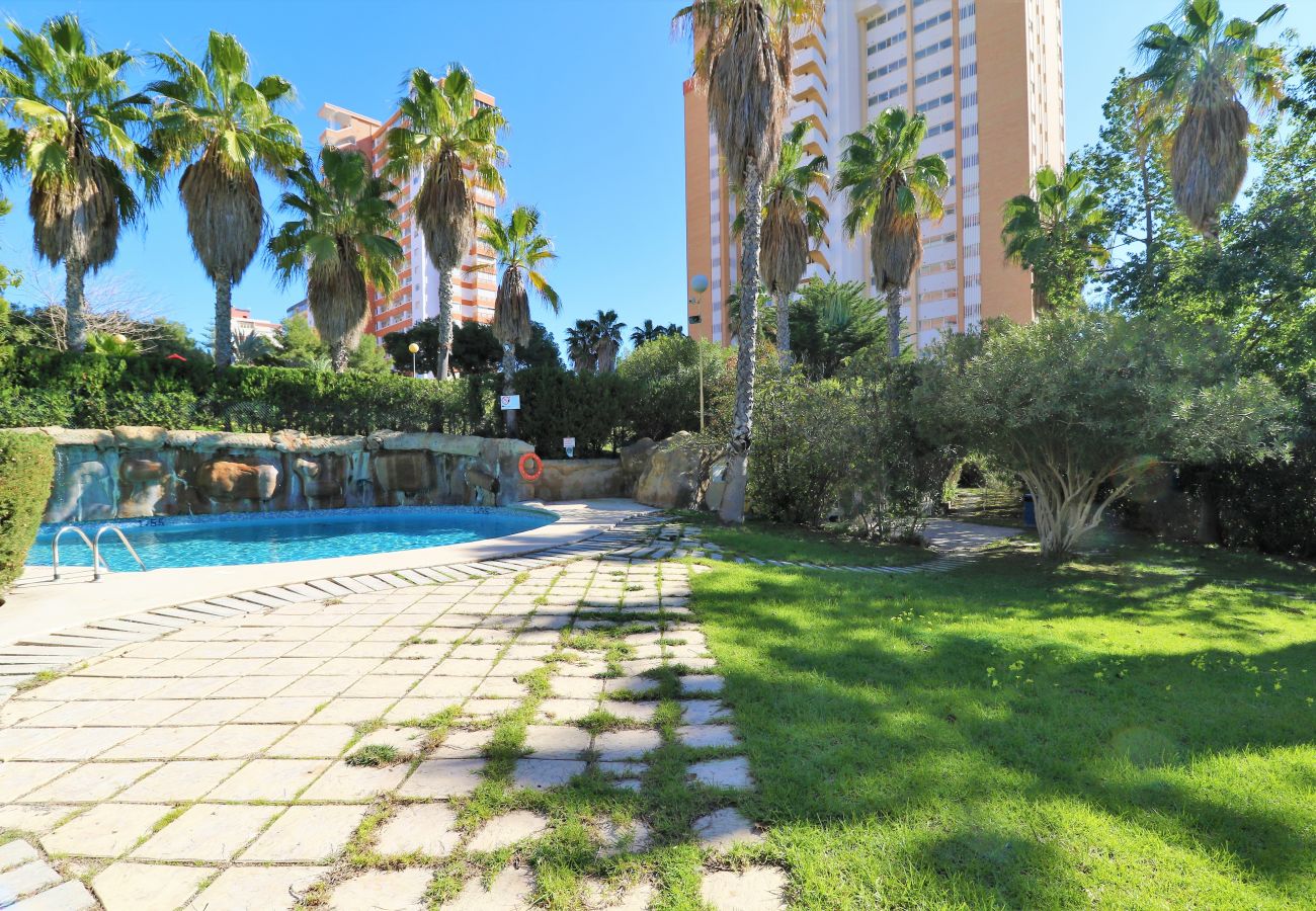 Appartement à Benidorm - Benibeach 3-2-B Apartment Poniente Beach Appartement à Benidorm - Benibeach 3-2-B Apartment Poniente Beach