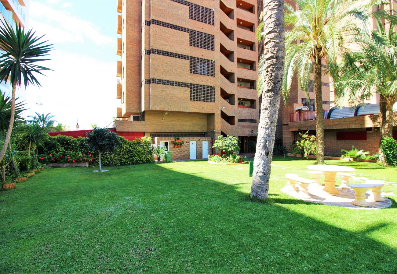 Appartement à Benidorm - Principado Arena 9-C Levante Beach Appartement à Benidorm - Principado Arena 9-C Levante Beach