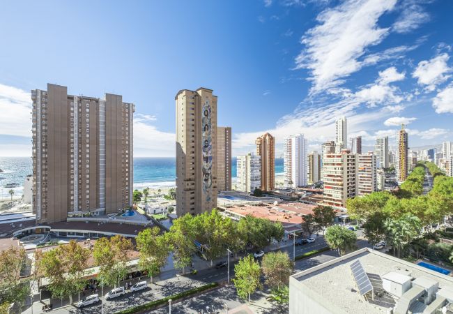 Studio à Benidorm -  Albatros 14-10 Estudio Levante Beach Studio à Benidorm -  Albatros 14-10 Estudio Levante Beach