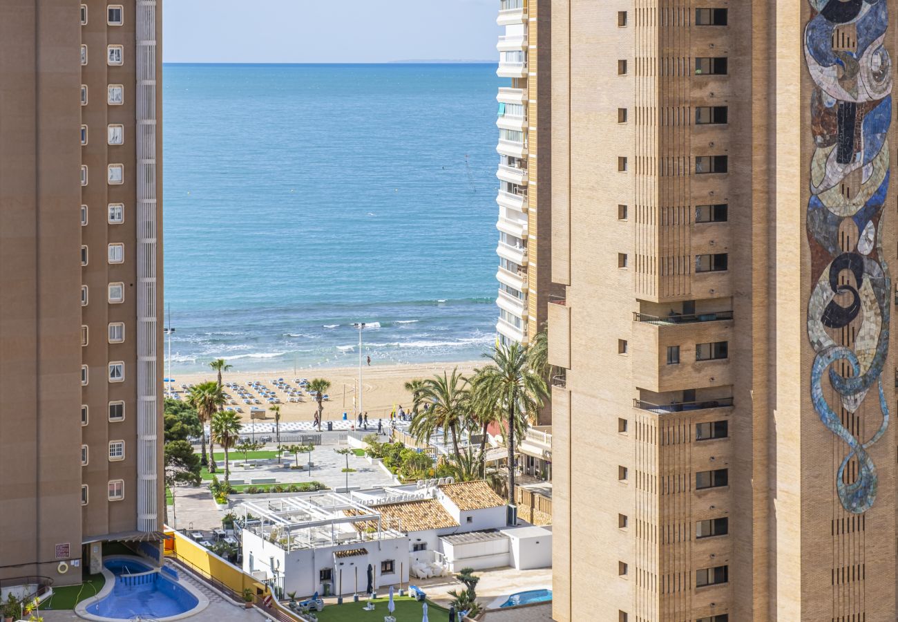 Studio à Benidorm -  Albatros 14-10 Estudio Levante Beach Studio à Benidorm -  Albatros 14-10 Estudio Levante Beach