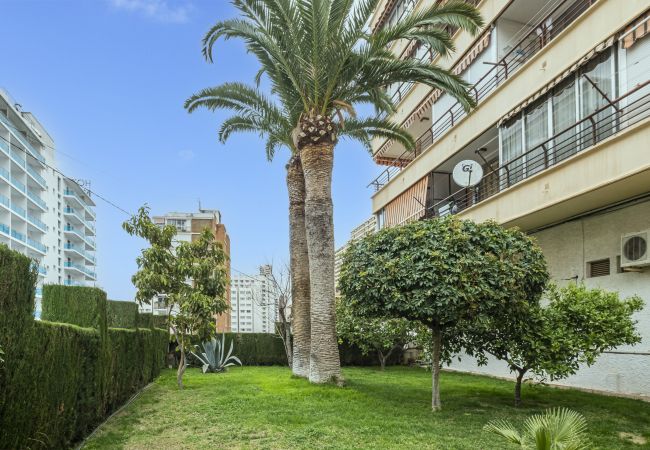 Appartement à Benidorm -  Piscis 10-8 Apartment Levante Beach Appartement à Benidorm -  Piscis 10-8 Apartment Levante Beach