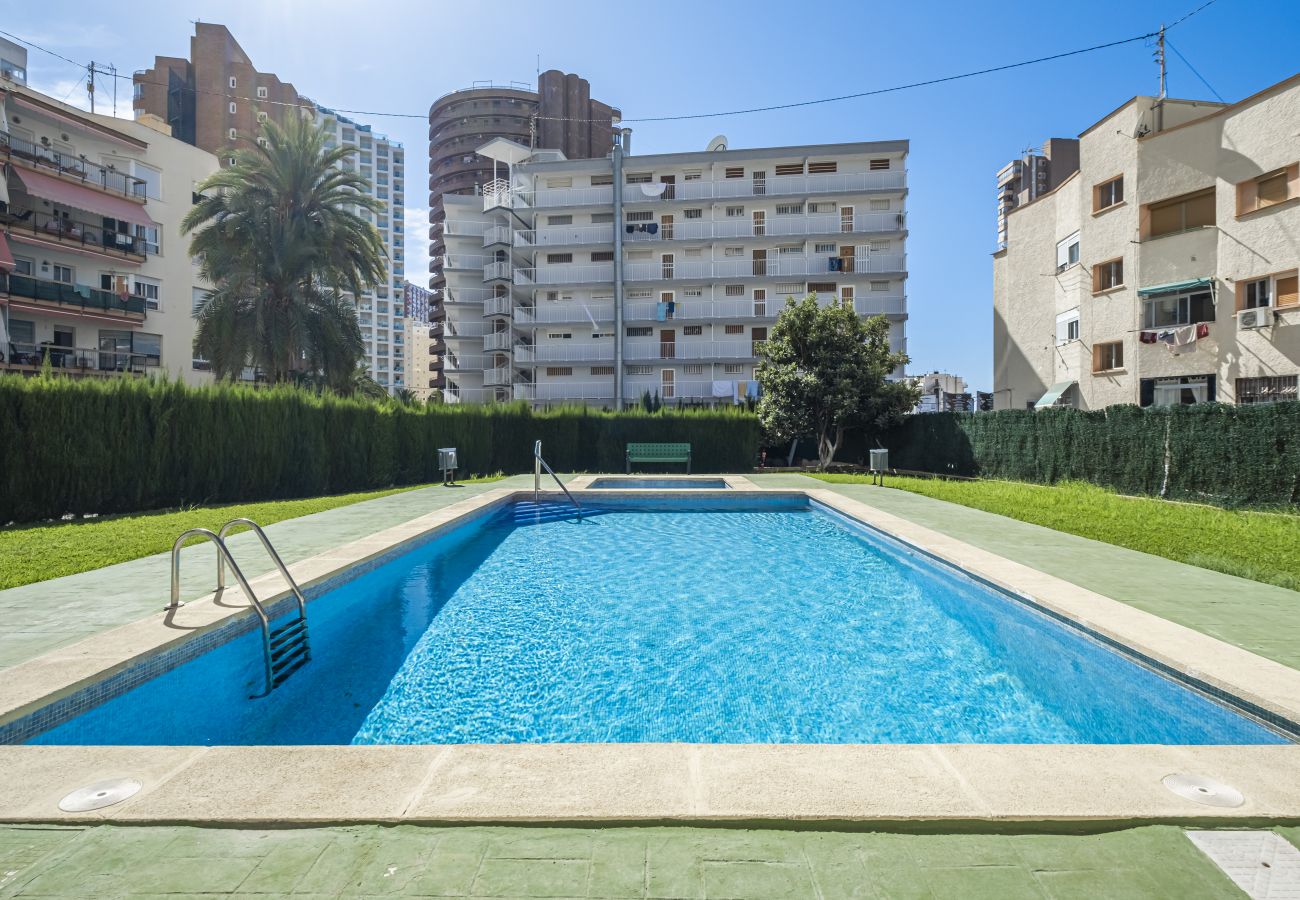 Appartement à Benidorm -  Don Paco 12-B Deluxe Apartment Levante Beach Appartement à Benidorm -  Don Paco 12-B Deluxe Apartment Levante Beach