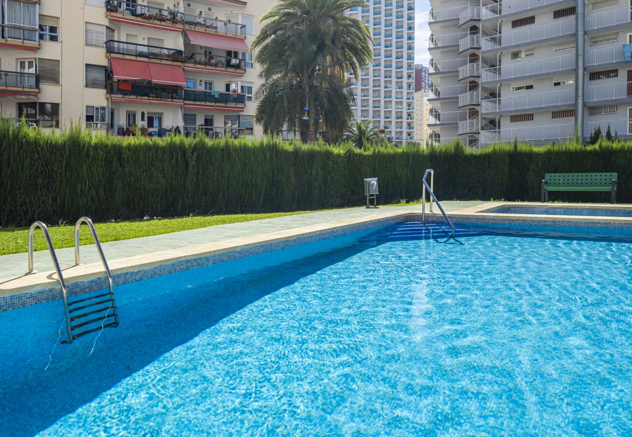 Appartement à Benidorm -  Don Paco 12-B Deluxe Apartment Levante Beach Appartement à Benidorm -  Don Paco 12-B Deluxe Apartment Levante Beach