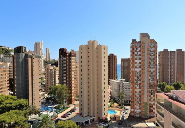 Appartement à Benidorm - Piscis 12-1 Appartement à Benidorm - Piscis 12-1