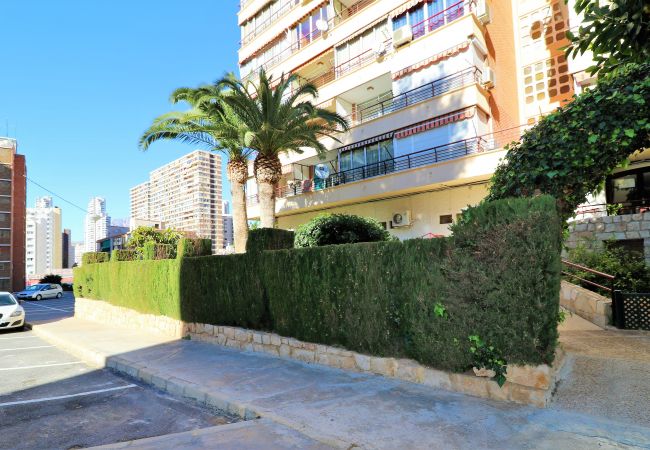 Appartement à Benidorm - Piscis 12-1 Appartement à Benidorm - Piscis 12-1