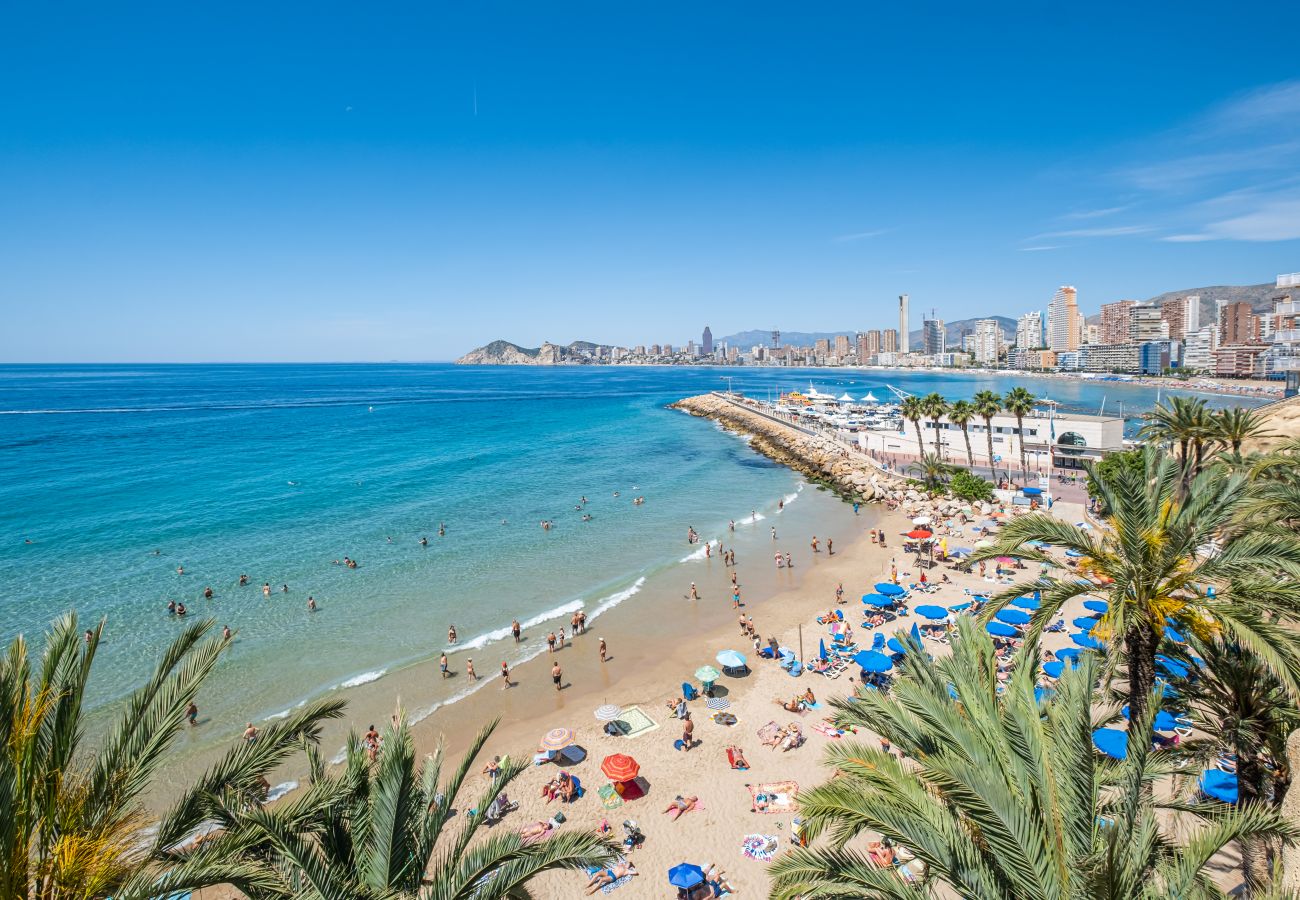 Aparthotel à Benidorm -  Apartamentos La Rosita Old Town 5Pax-1 Aparthotel à Benidorm -  Apartamentos La Rosita Old Town 5Pax-1