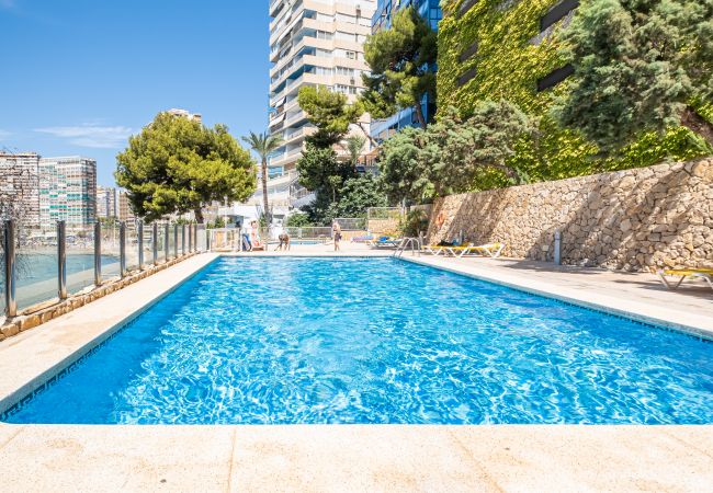 Appartement à Benidorm -  Paraiso Lido Sea Views 1-D Levante Beach Appartement à Benidorm -  Paraiso Lido Sea Views 1-D Levante Beach