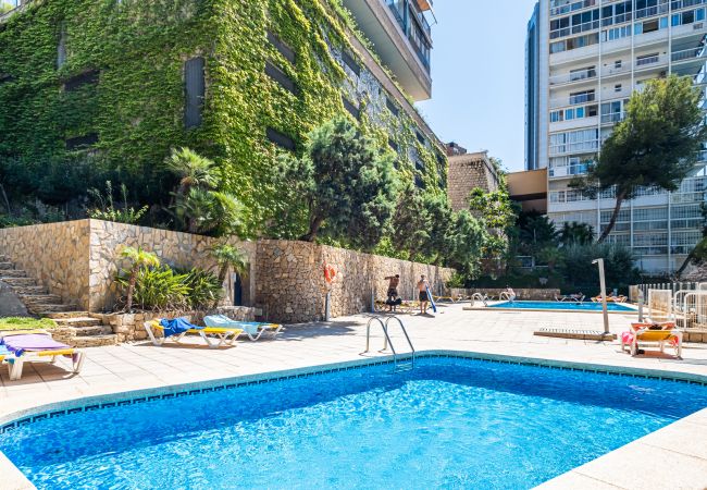 Appartement à Benidorm -  Paraiso Lido Sea Views 1-D Levante Beach Appartement à Benidorm -  Paraiso Lido Sea Views 1-D Levante Beach